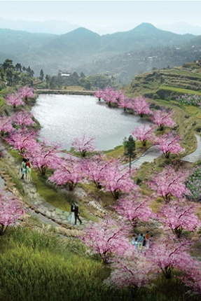 浙江溫州鄭山梯田景區(qū)概念性總體規(guī)劃